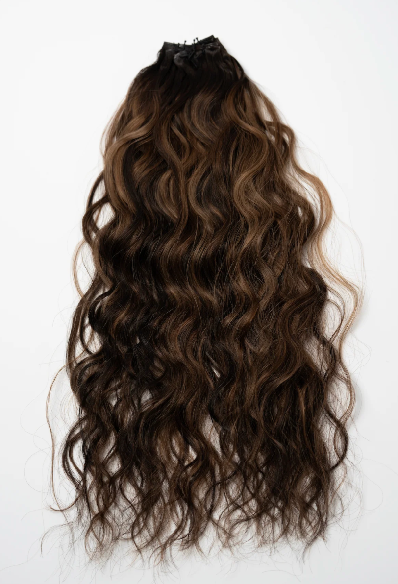 Midnight Hour - Rodeo Ringlet