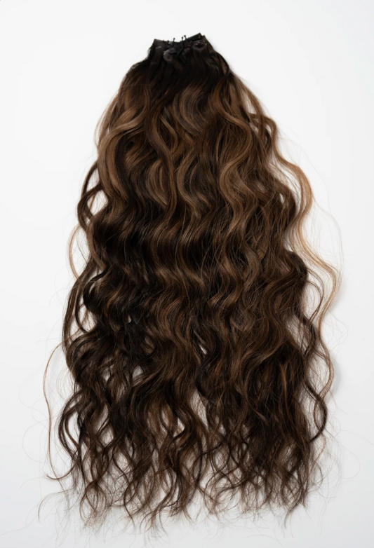 Midnight Hour - Rodeo Ringlet