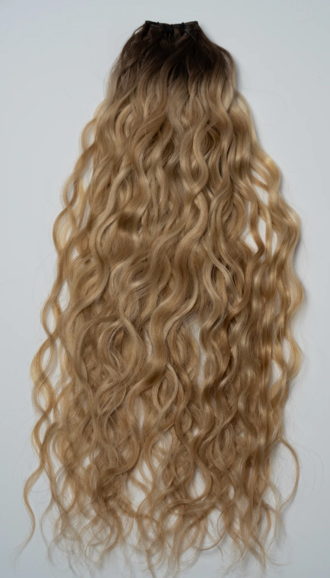 Golden Hour - Rodeo Ringlet