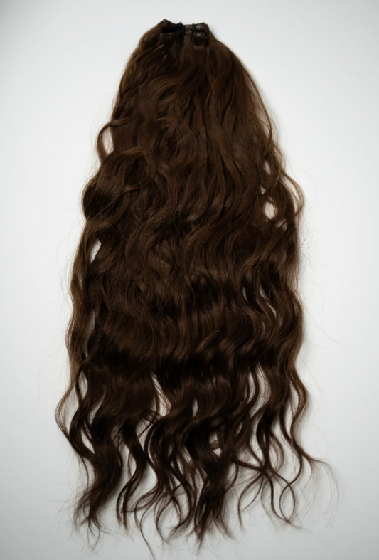 Caramel - Rodeo Ringlet